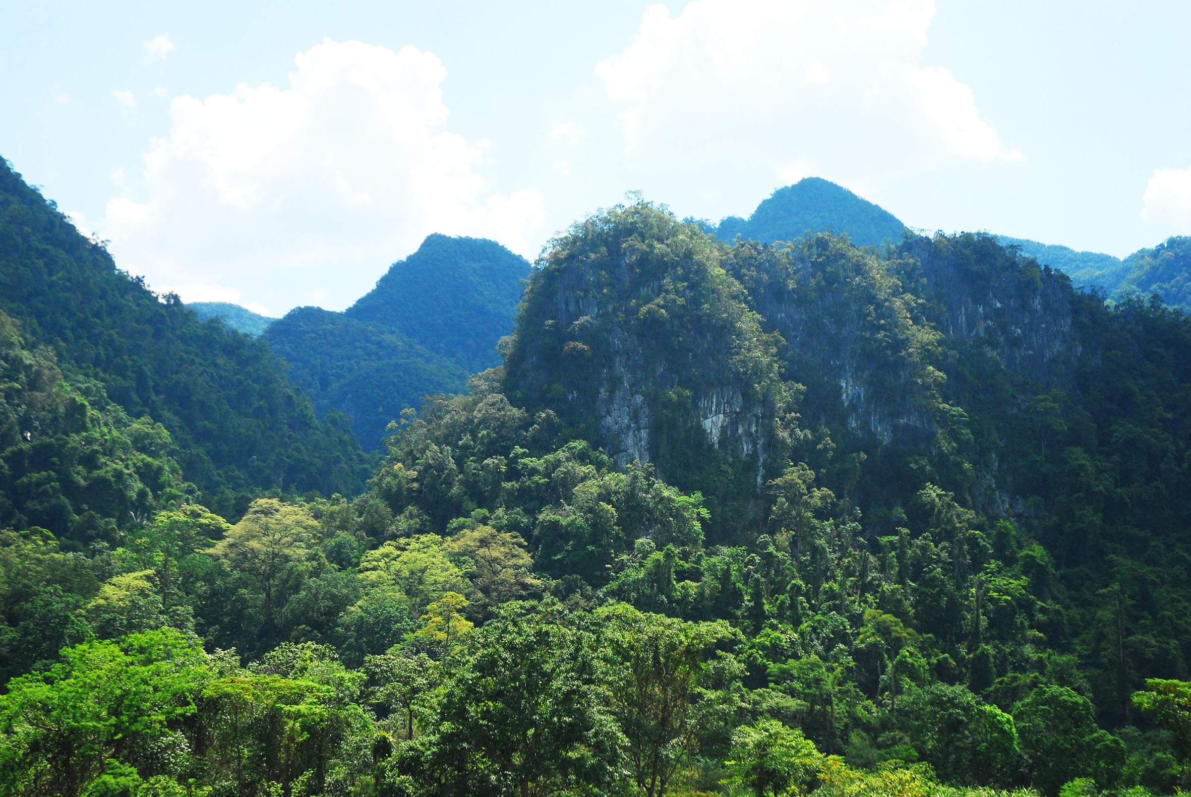 Habitat of Laonastes aenigmamus in Phong Nha - Ke Bang area